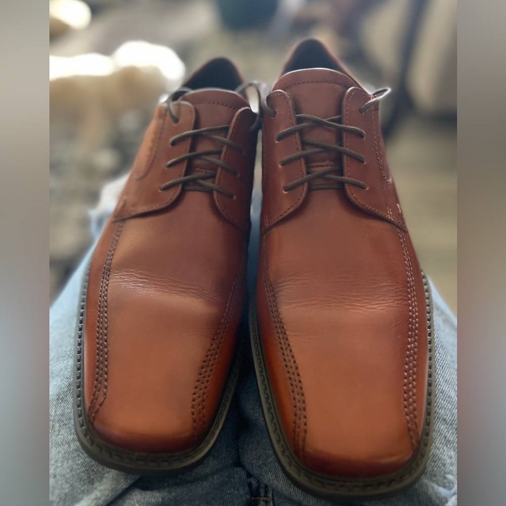 Ecco Brown Shoes. Never used!